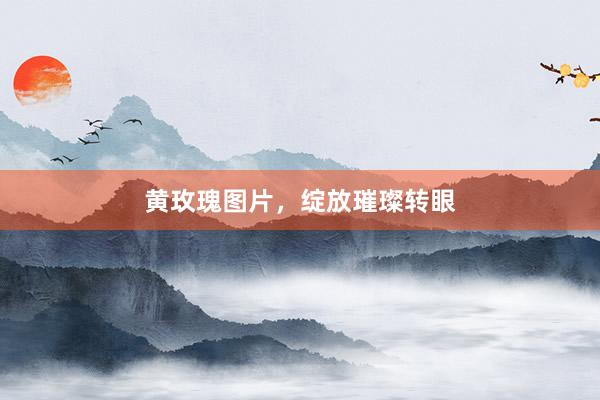 黄玫瑰图片，绽放璀璨转眼