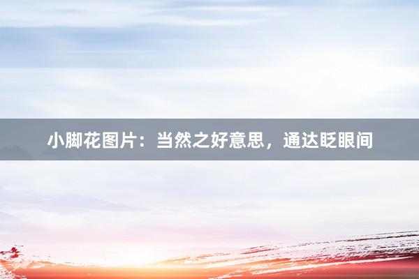 小脚花图片：当然之好意思，通达眨眼间