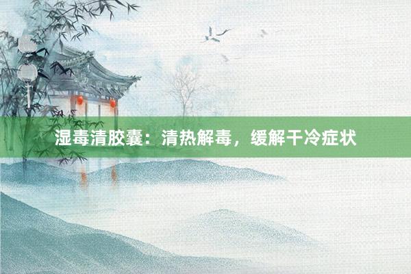 湿毒清胶囊：清热解毒，缓解干冷症状